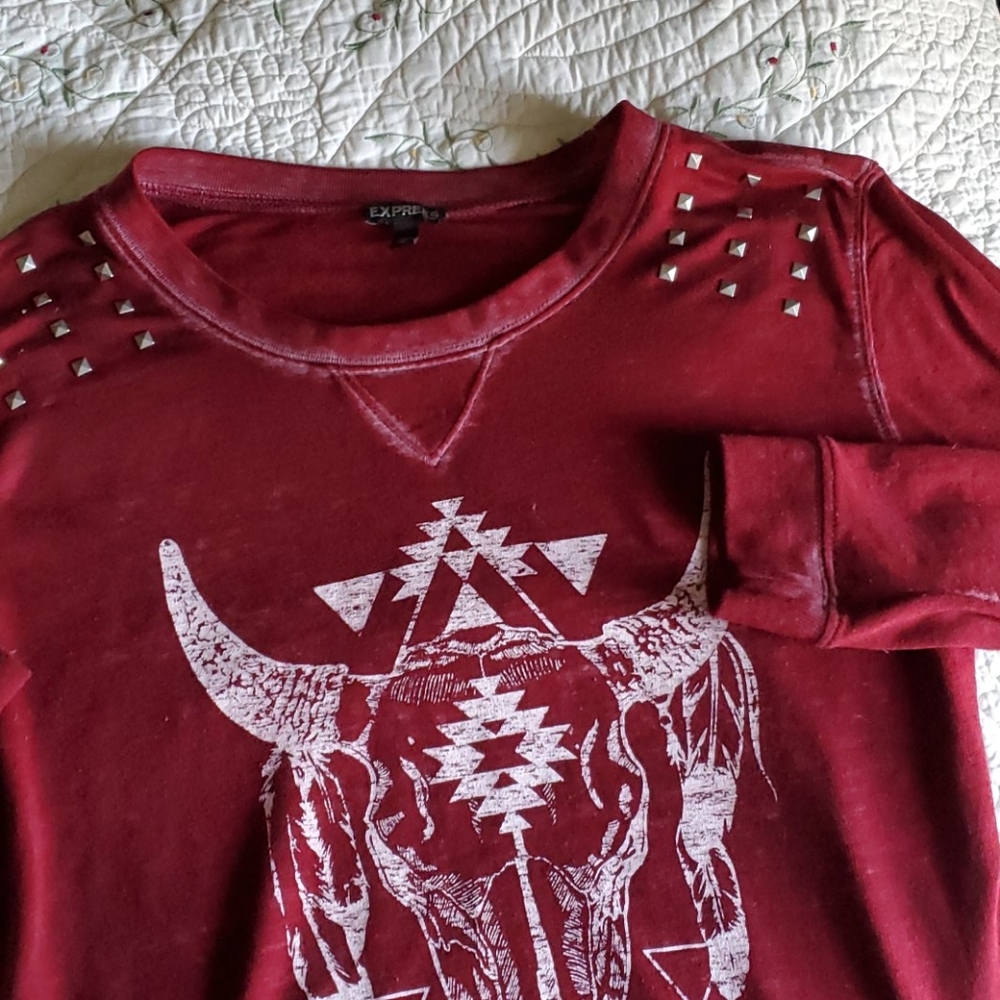EXPRESS Burgundy Light Sweater XS